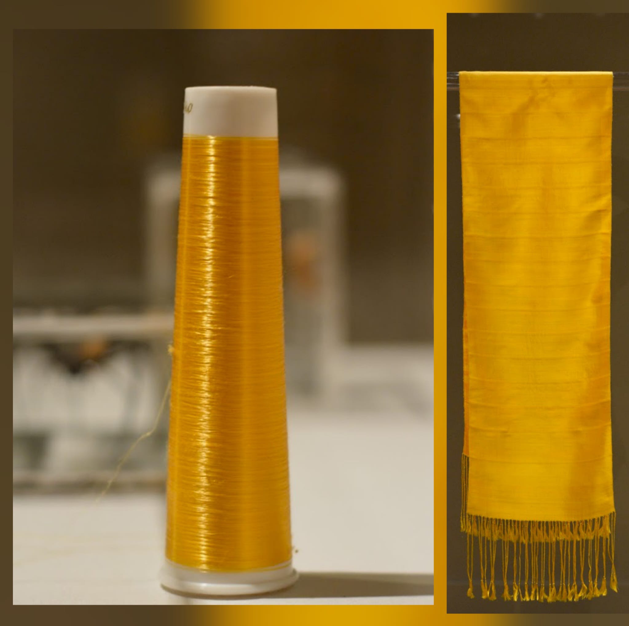 Golden Spider Silk